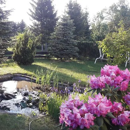Fewo Abendsonne Hermsdorf  Extérieur photo